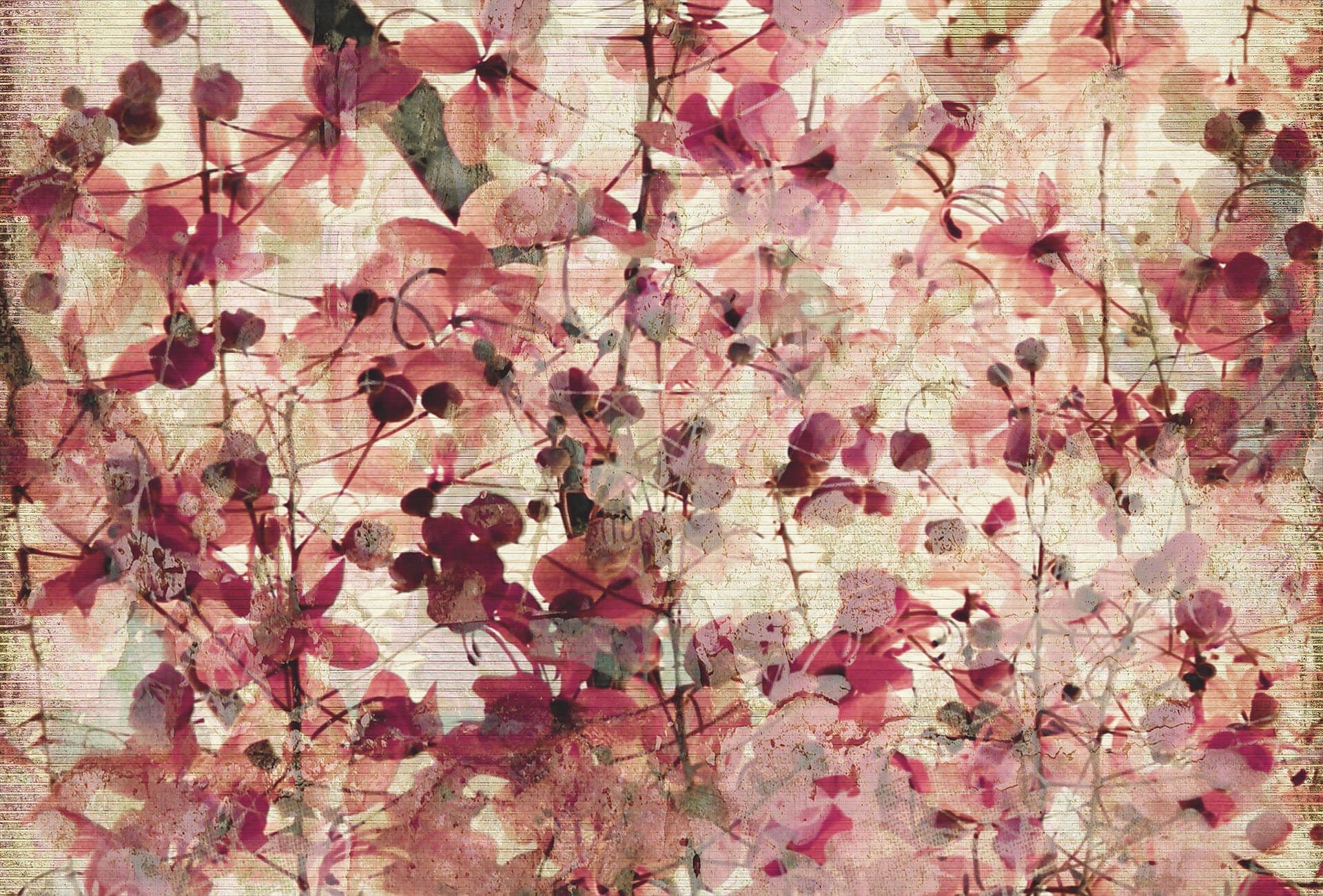 Pink Floral Abstract Composition Wallpaper Mural Idealdecor