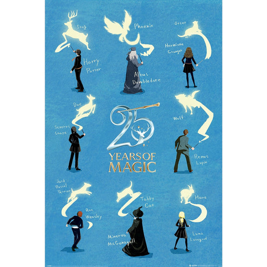 Harry Potter 25 Years Poster Harry Potter