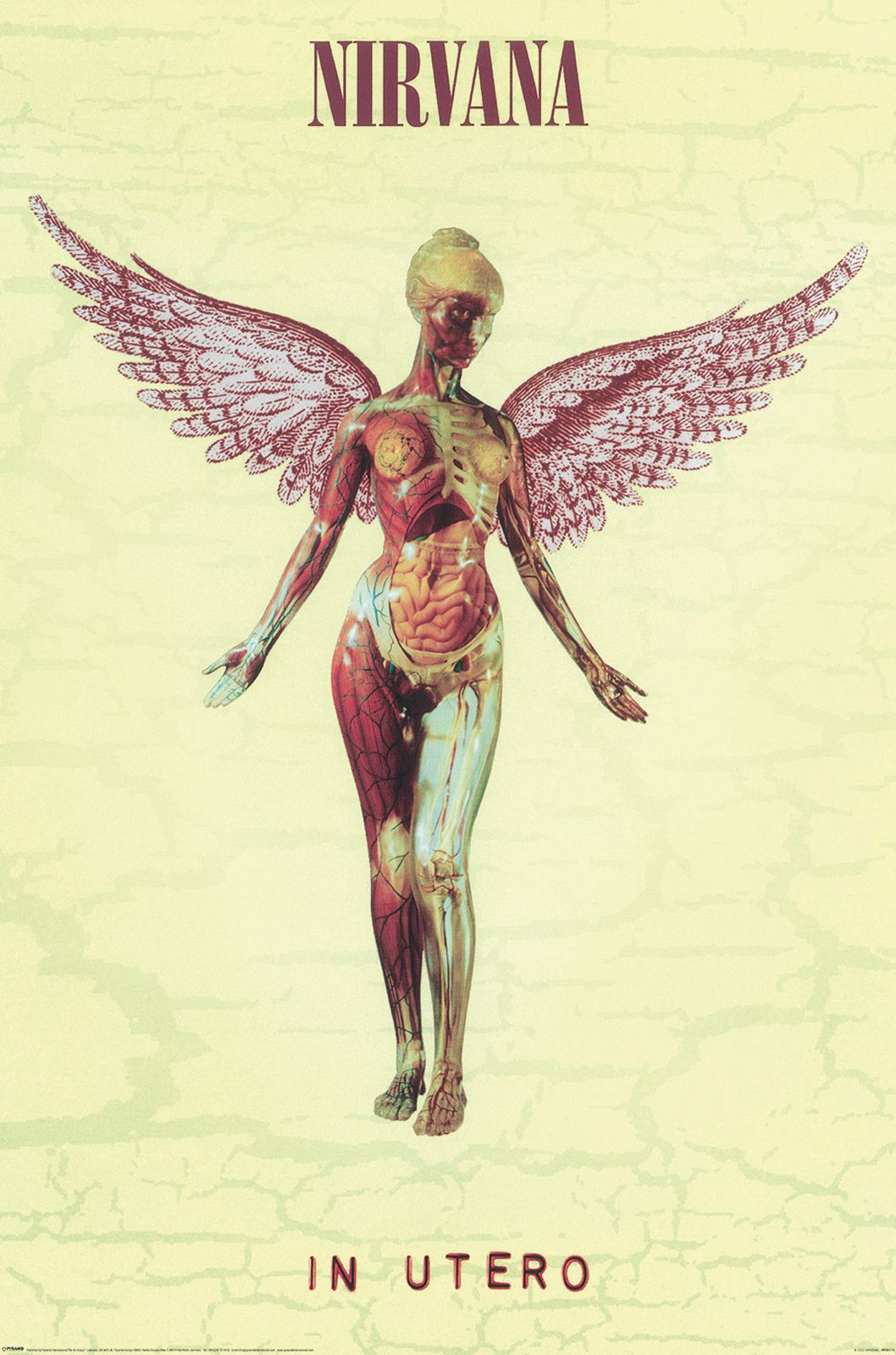 Nirvana In Utero Poster Pyramid International