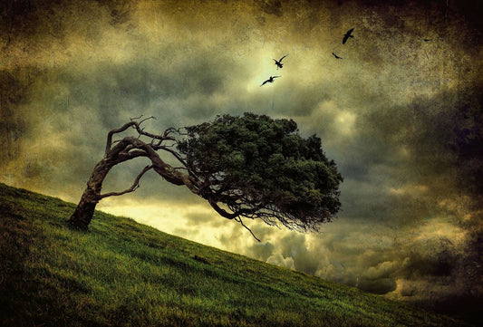 Scary Vintage Tree  Wallpaper Mural Idealdecor