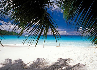 White Sandy Beach Photo Wallpaper Nice Wall