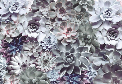 Shades Botanical Winter Pattern Photo Wallpaper (W x H) 368cm x 254cm (144" x 100")