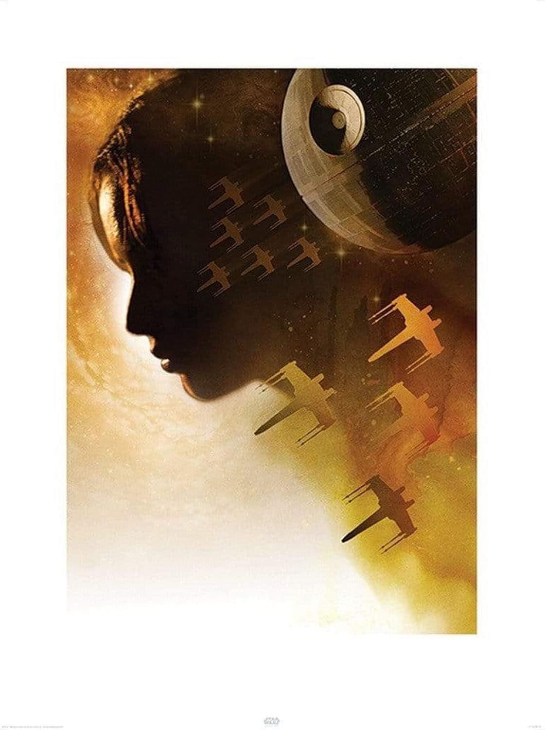 Star Wars Rogue One Jyn Silhouette Poster Star Wars