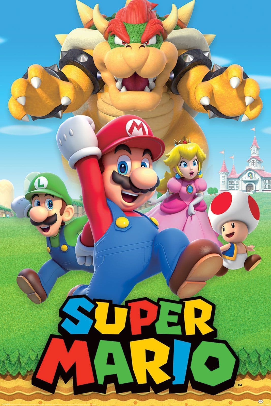 Super Mario Character Montage Poster Other