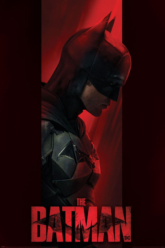 DC Comics The Batman Out Of The Shadows Poster DC Comics