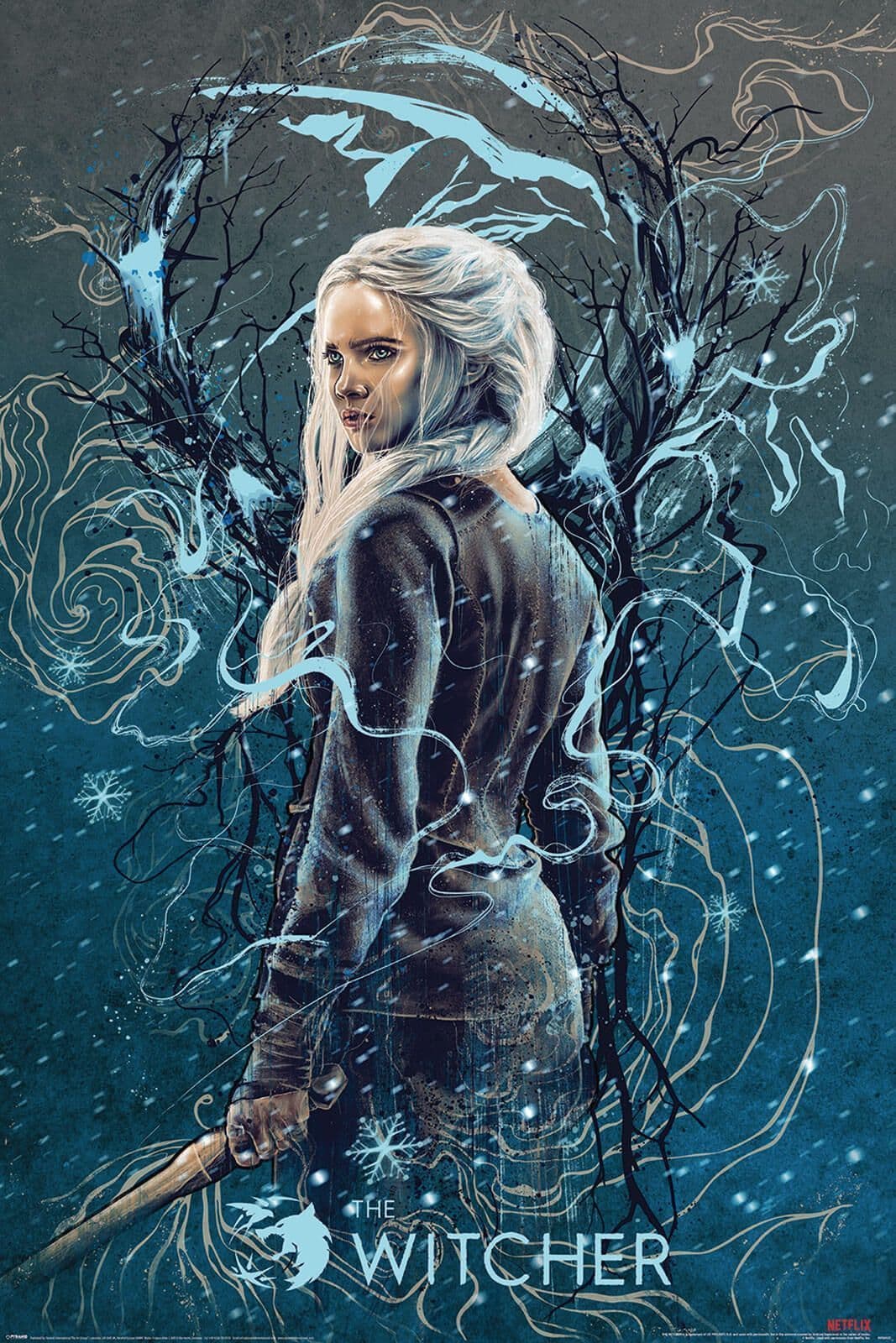 The Witcher Ciri the Swallow Poster 