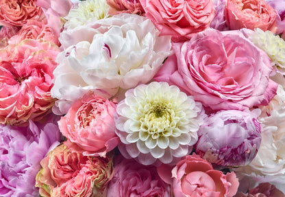 Vibrant Spring Pink Red Purple Flowers Photo Wallpaper 