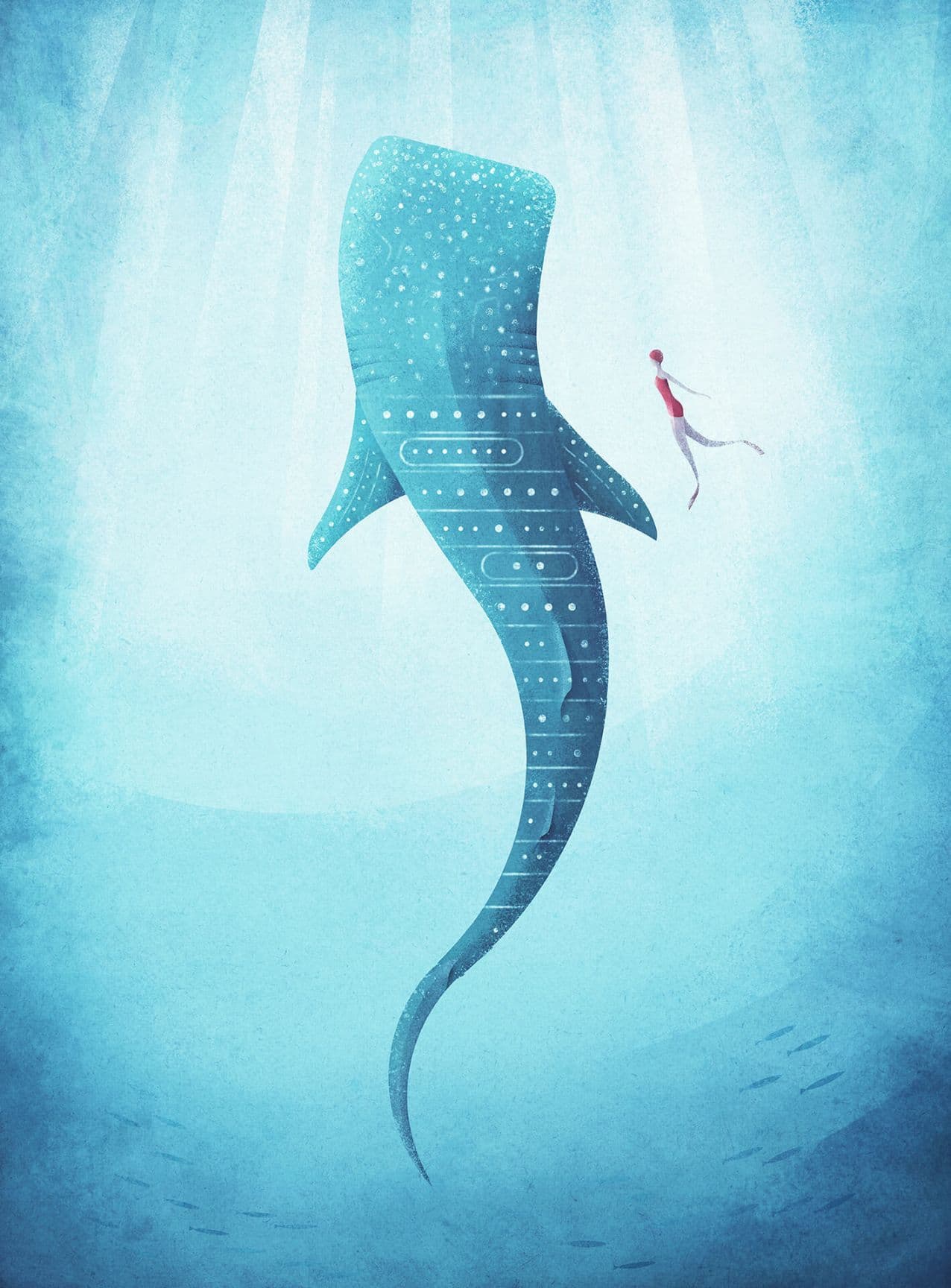 Whale Shark Art Wallpaper Mural Idealdecor