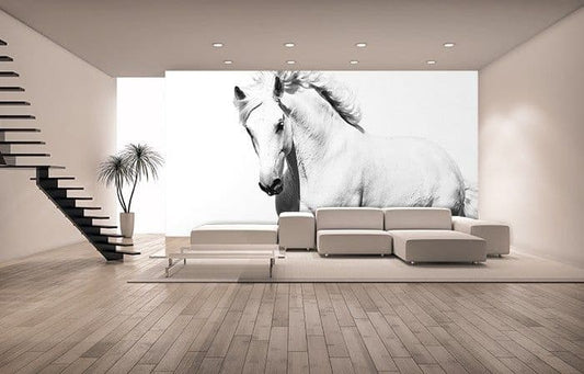 White Horse Mustang Teen and Adult Photo Wallpaper Nice Wall