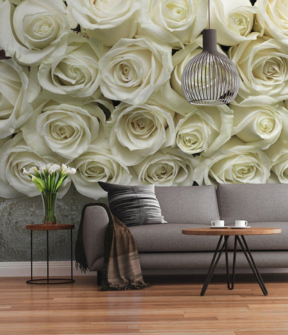 White Roses Floral Photo Wallpaper 