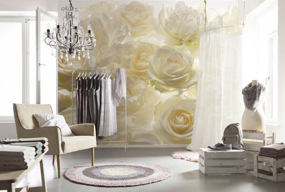 Beige Roses Dressing Room and Bedroom Floral Non-Woven Wall Mural  (W x H) 368cm x 248cm (144" x 98")